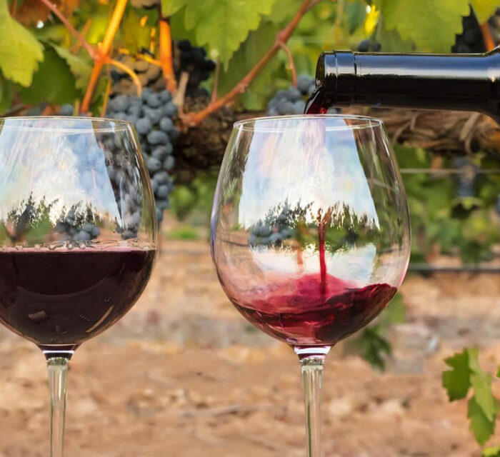 Photo représentant deux verres de vin.