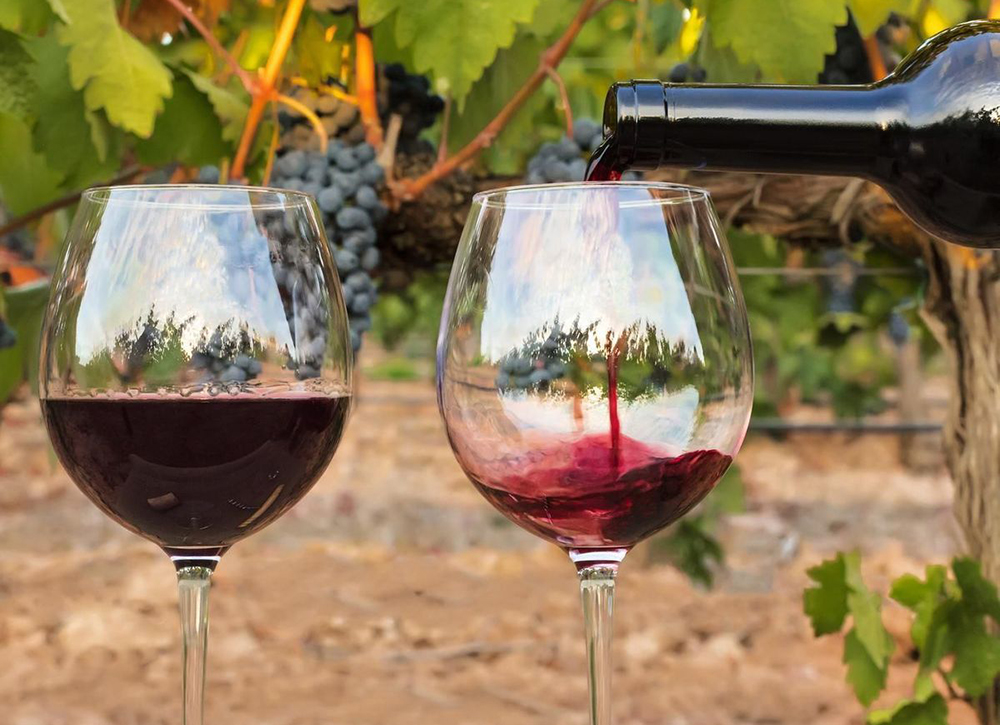 Photo représentant deux verres de vin.