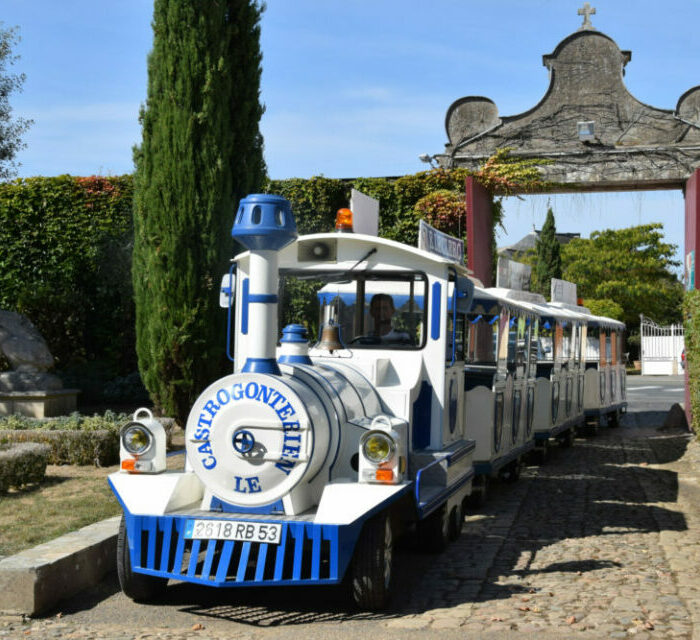 Visite en petit train touristique