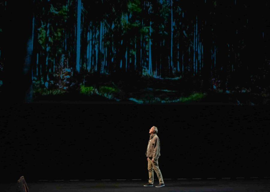 Un comédien est debout sur la scène au-dessous d’un écran sur lequel est projetée l’image recolorée d’une forêt la nuit.