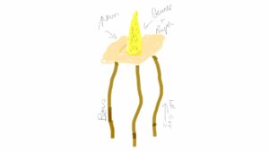 Dessin préparatoire de Clélia Berthier avant la réalisation de l'oeuvre Pain surprise. Un tabouret avec une assise en pain et une grosse motte de beurre au thym posée dessus.