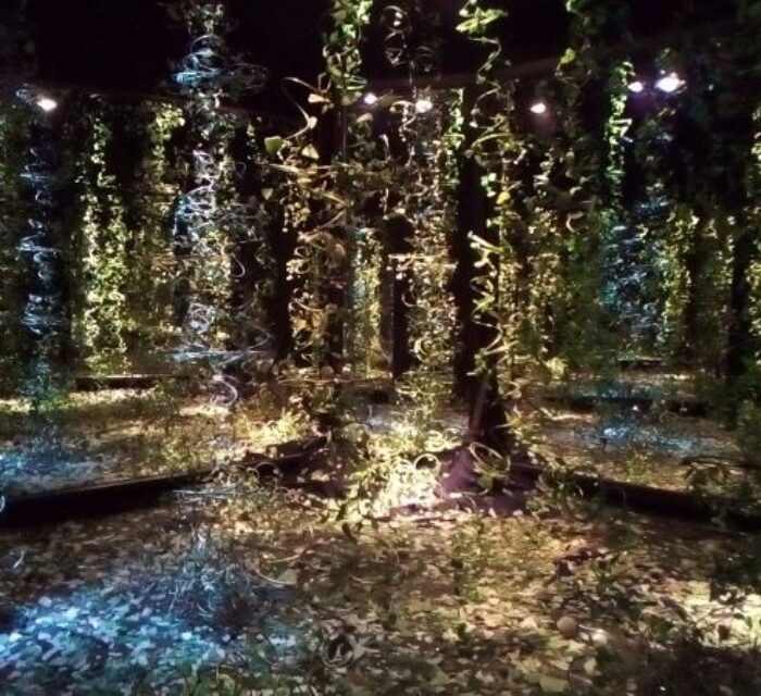 oeuvre de Monique Bretéché, La Forêt, 2017-2013