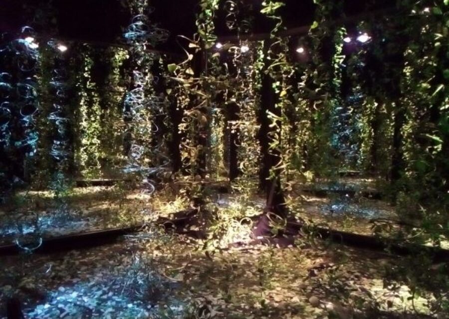 oeuvre de Monique Bretéché, La Forêt, 2017-2013