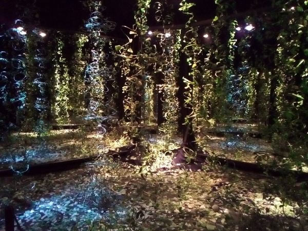 oeuvre de Monique Bretéché, La Forêt, 2017-2013