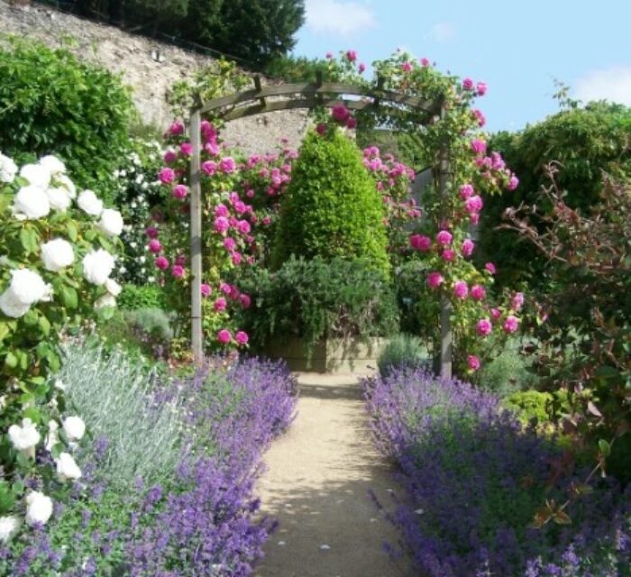 photo d'un jardin de la ville de Château-Gontier sur Mayenne