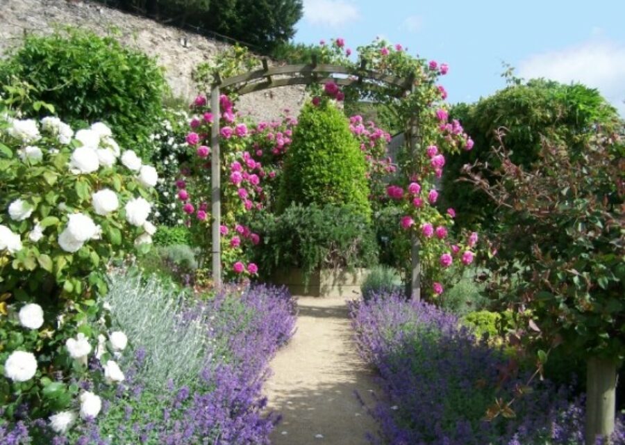 photo d'un jardin de la ville de Château-Gontier sur Mayenne