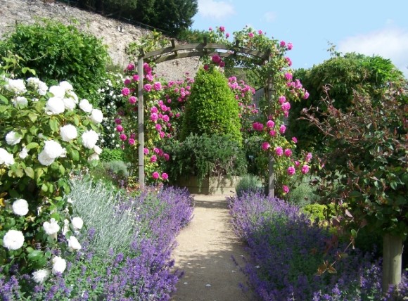 photo d'un jardin de la ville de Château-Gontier sur Mayenne