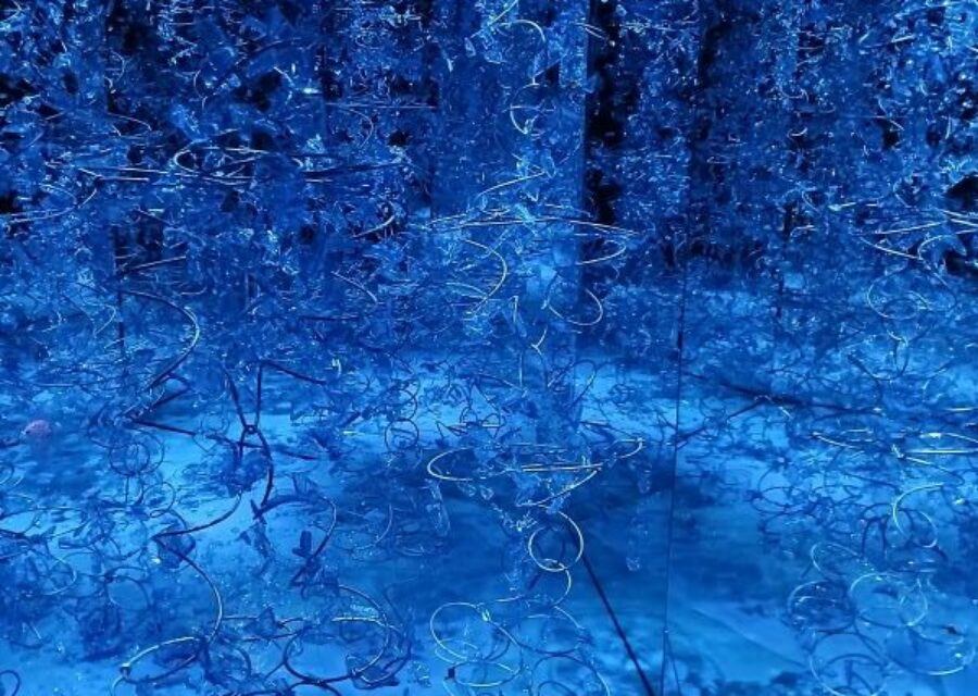oeuvre de Monique Bretéché, L'eau, 2026