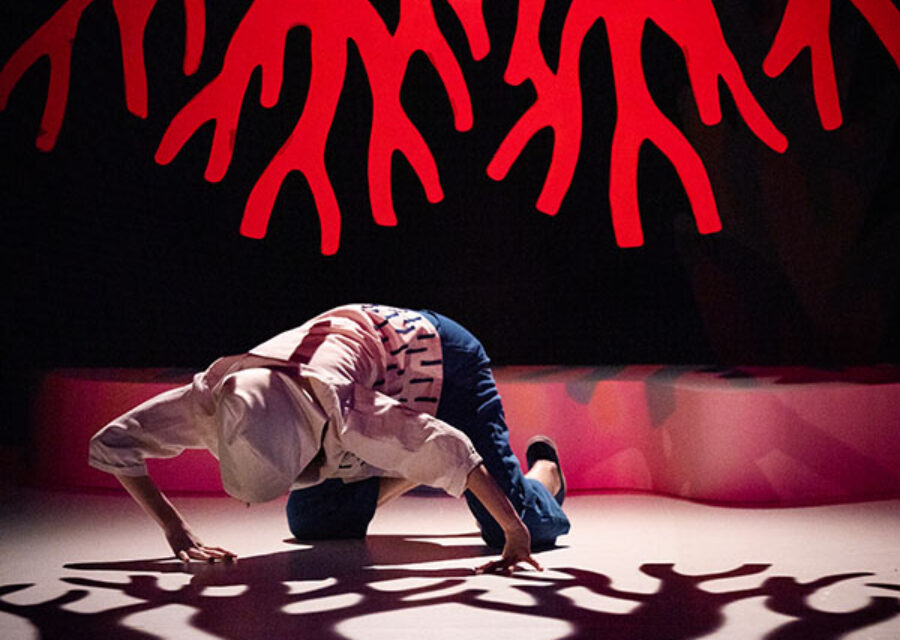 photo du spectacle marcher dans le vent