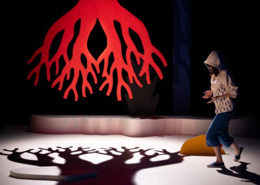 photo du spectacle marcher dans le vent