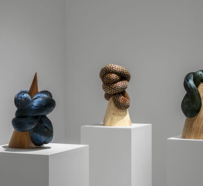 Photo de l'oeuvre Pinion, torque & vetch de Kate MccGwire
