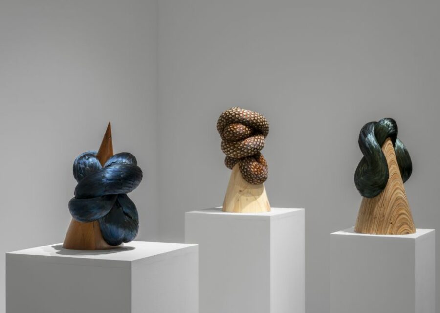 Photo de l'oeuvre Pinion, torque & vetch de Kate MccGwire