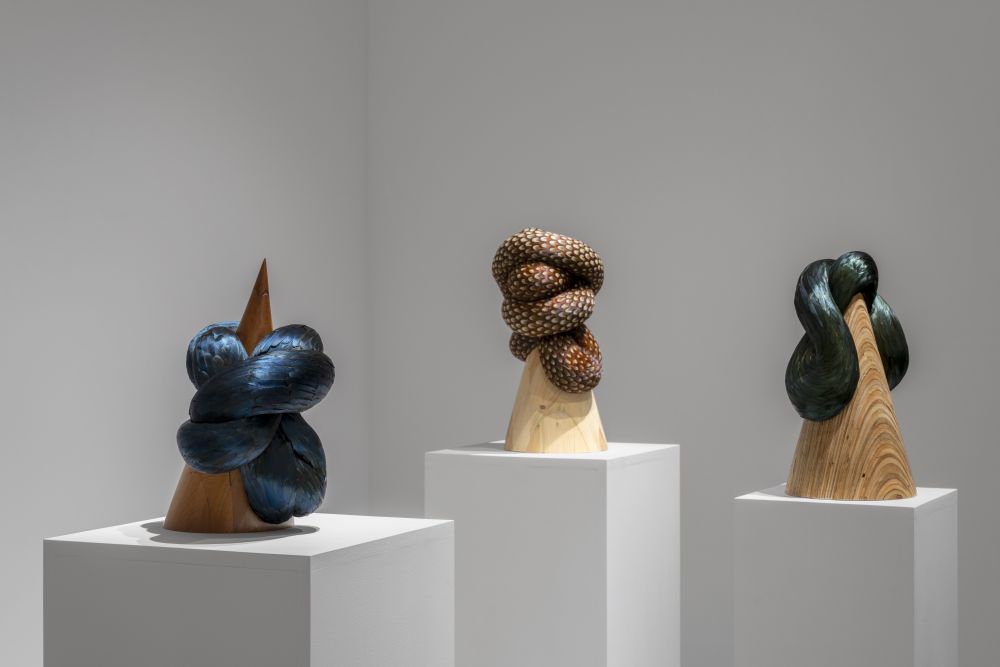 Photo de l'oeuvre Pinion, torque & vetch de Kate MccGwire