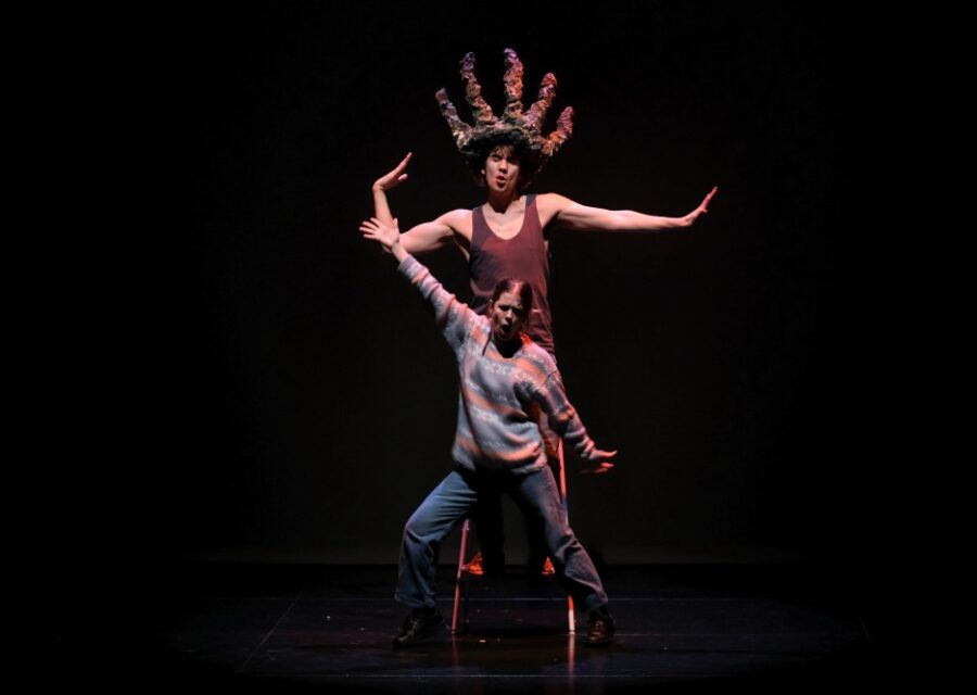 Photo du spectacle Dominique toute seule