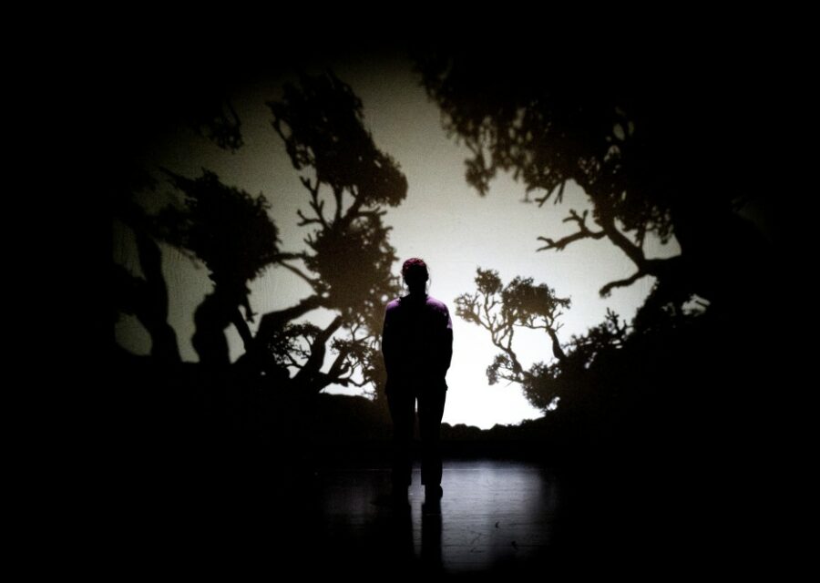 Photo du spectacle Dominique toute seule