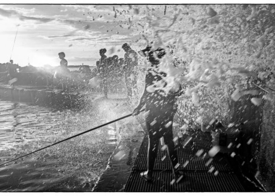 Photo de Sébastien Marchal