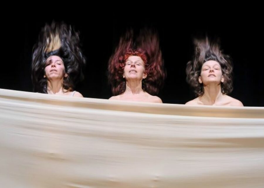 Photo du spectacle Moi peau