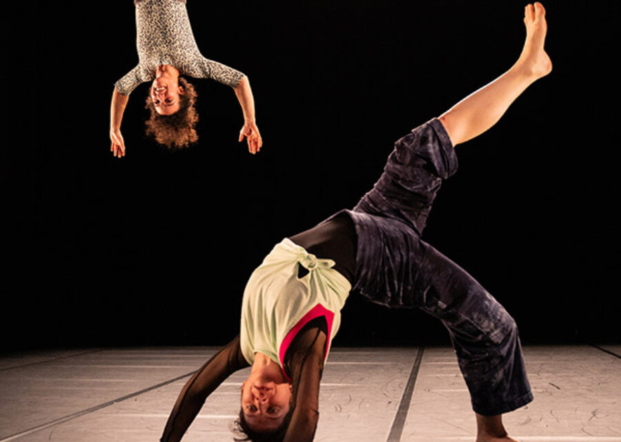 photo du spectacle en haut en bas