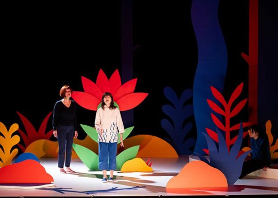 photo du spectacle marcher dans le vent