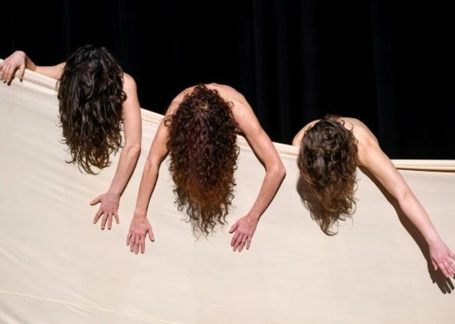 Photo du spectacle Moi peau
