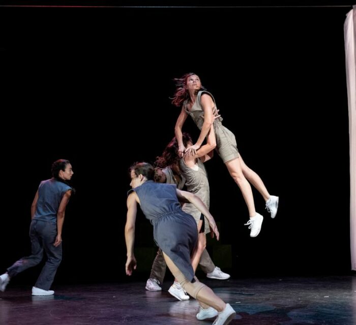 Photo d'un spectacle de la Compagnie Morphose